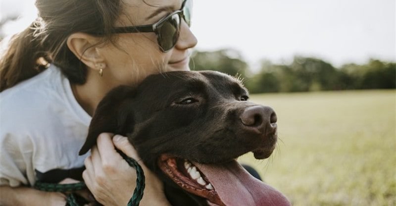 The Pursuit of “Man’s Greatest Good friend”: 7 Ideas for Constructing a Bond With Your New Pet
