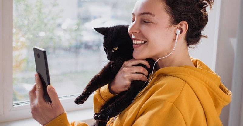 A Complete Information for New Cat Mother and father