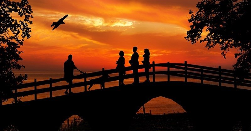 Need to Get into Chicken Watching? Right here’s How you can Put together